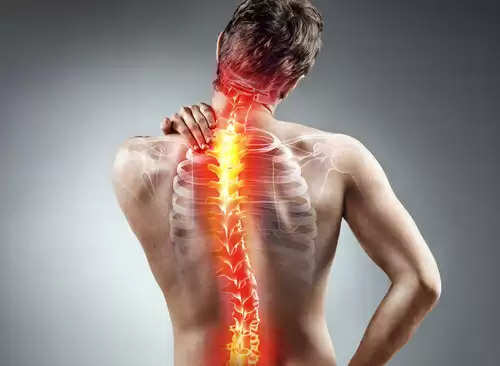 Health Tips: Spine will be strong by eating these things only