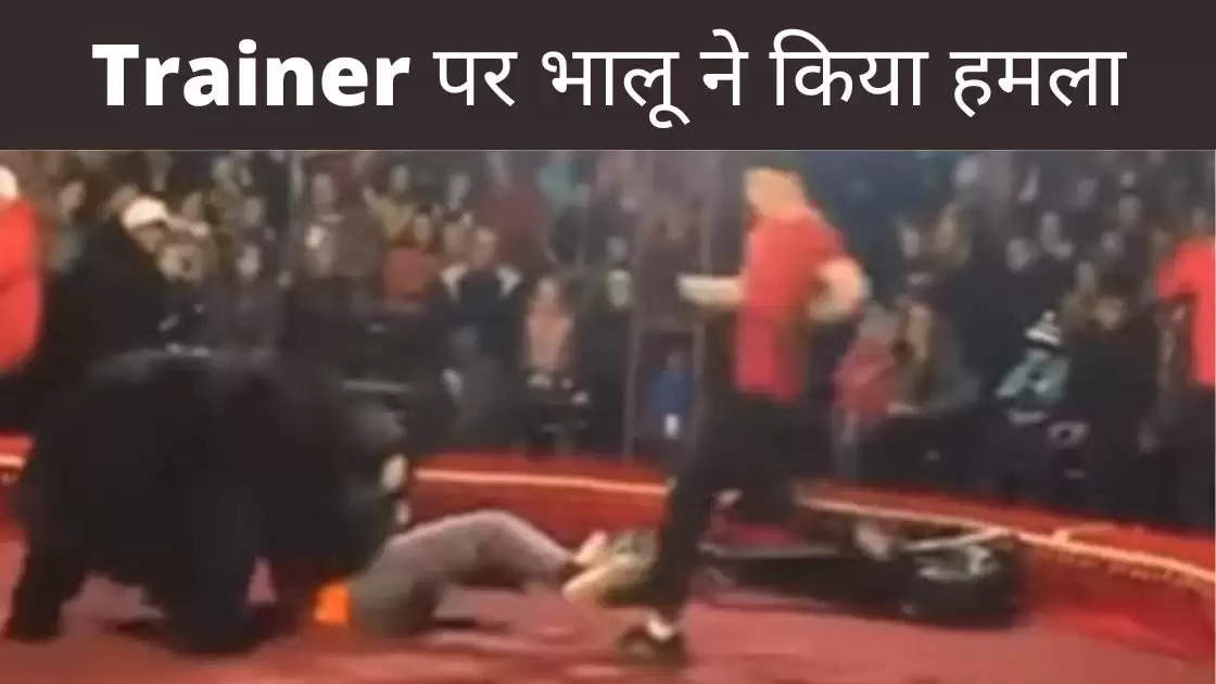 The bear attacked the trainer, people started running away from the circus