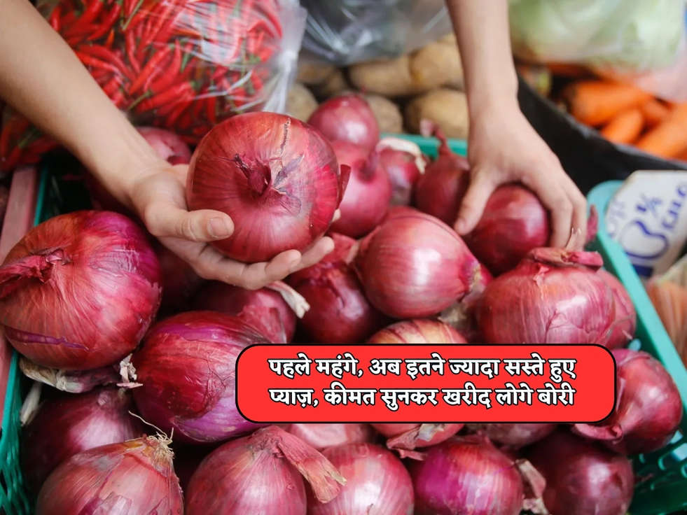 Onion Price : पहले महंगे, अब इतने ज्यादा सस्ते हुए प्याज़, कीमत सुनकर खरीद लोगे बोरी 