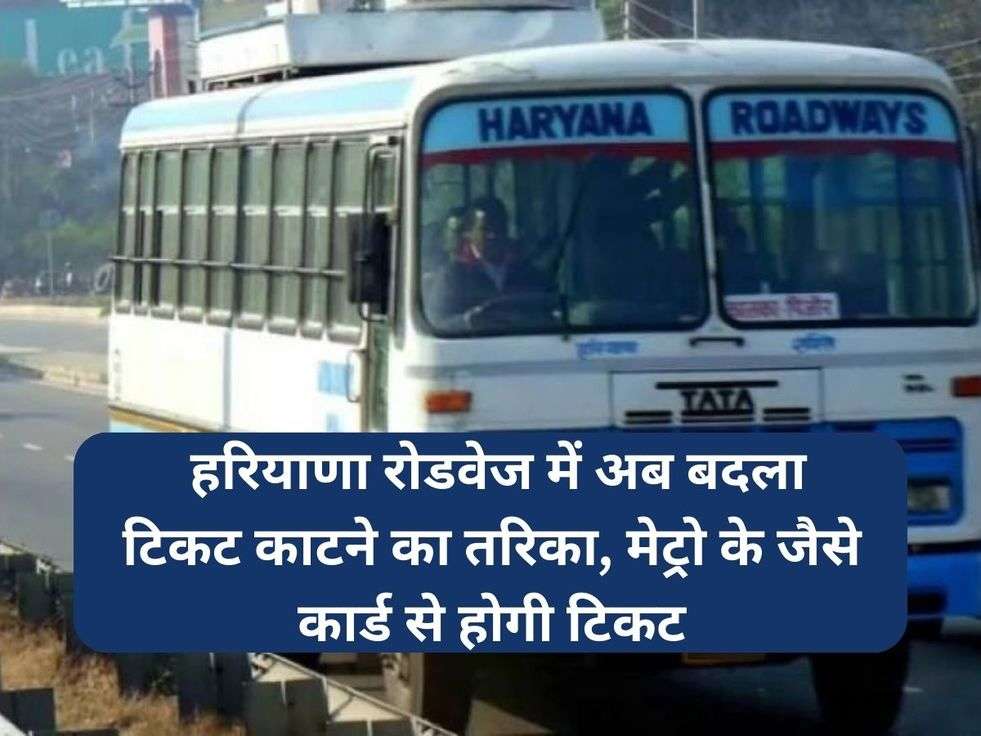 Haryana Roadways Ticket