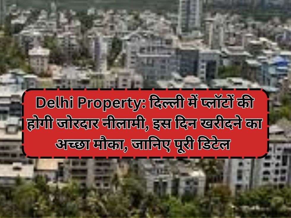 Delhi Property