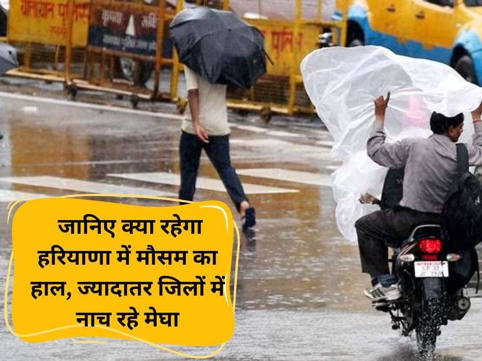 Haryana Weather Update