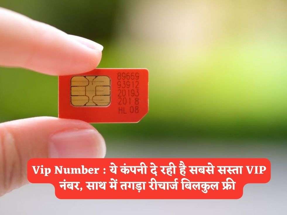 Vip Number : ये कंपनी दे रही है सबसे सस्ता VIP नंबर, साथ में तगड़ा रीचार्ज बिलकुल फ्री 