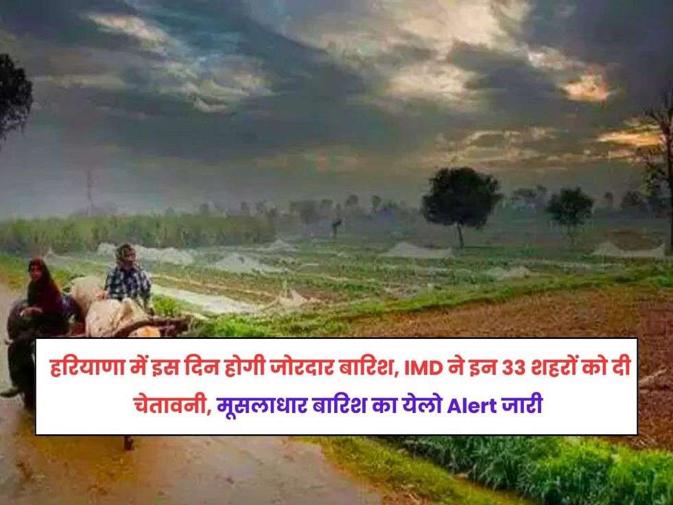 खेत-खलिहान,हरियाणा में येलो अलर्ट, yellow alert in haryana, हरियाणा में बारिश की चेतावनी, Rain Alert in Haryana, Haryana Weather Update, हरियाणा मौसम अपडेट,latest kisan news, haryana weather news, latest weather update,हरियाणा का मौसम,हरियाणा मे बारिश कब होगी,barish,IMD alert,mausam