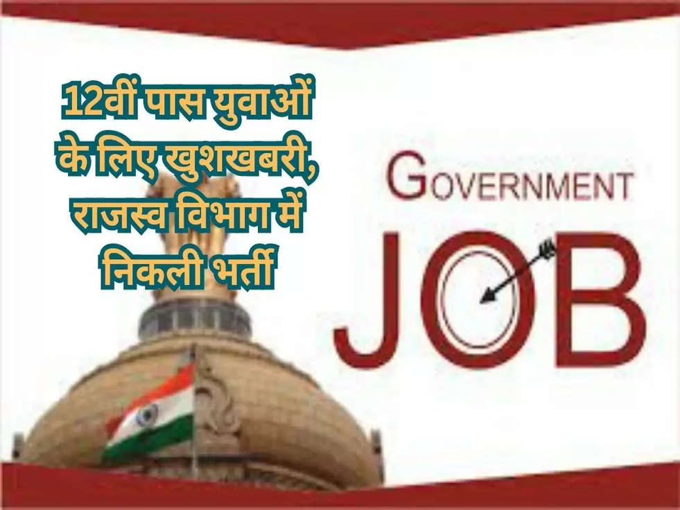 Govt Job: 12वीं पास युवाओं के लिए खुशखबरी, राजस्व विभाग में निकली भर्ती, जाने आवेदन करने की पूरी प्रतिक्रिया..