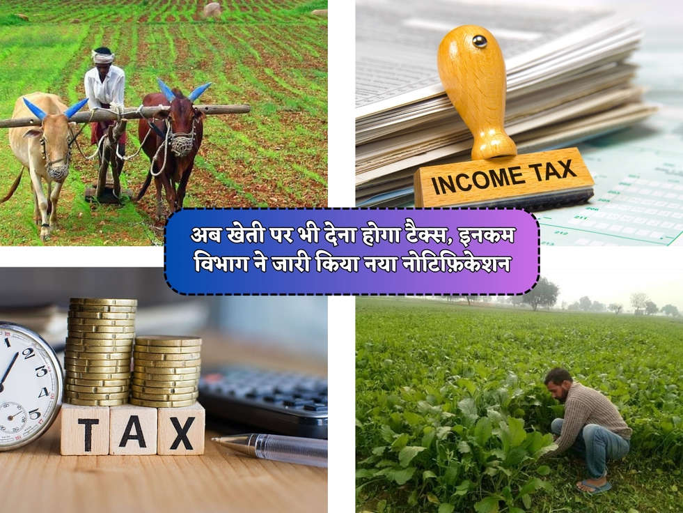 Income Tax : अब खेती पर भी देना होगा टैक्स, इनकम विभाग ने जारी किया नया नोटिफ़िकेशन 