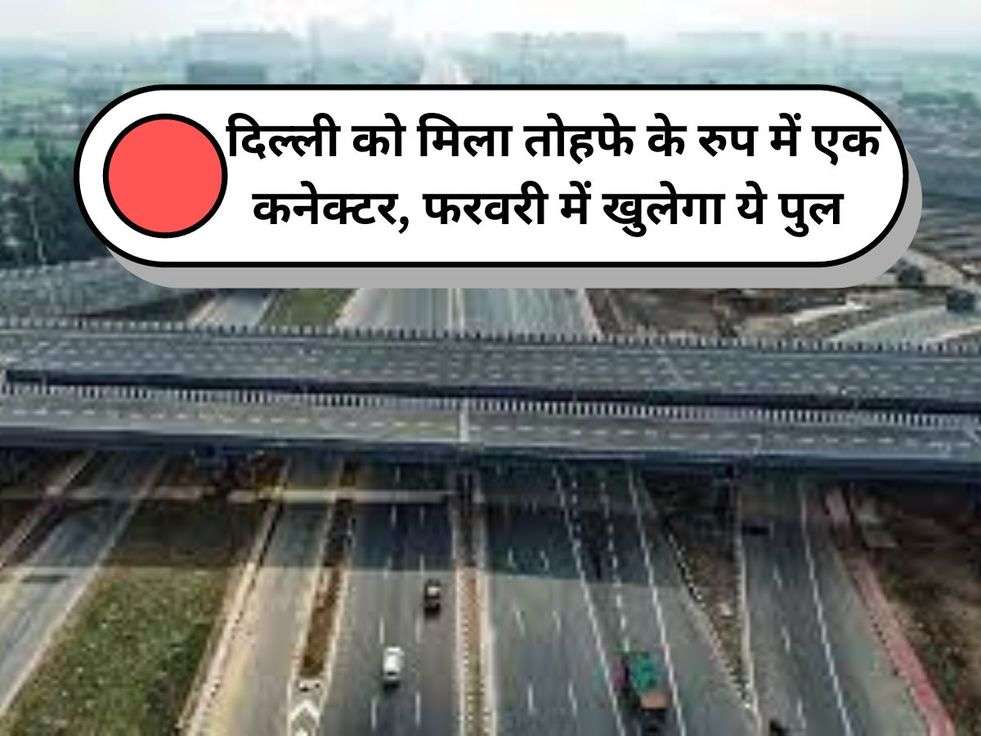 Delhi Connector