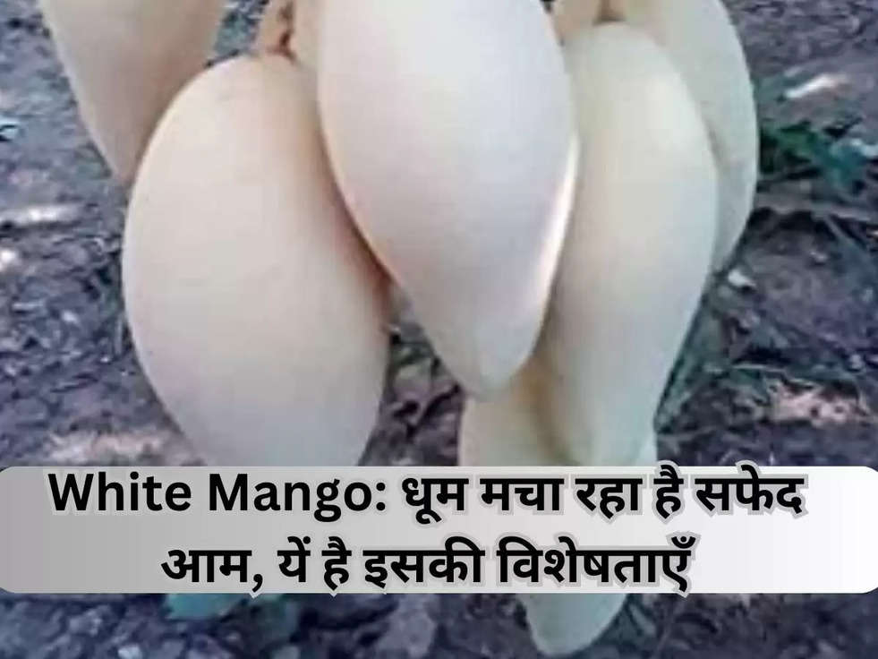 White Mango