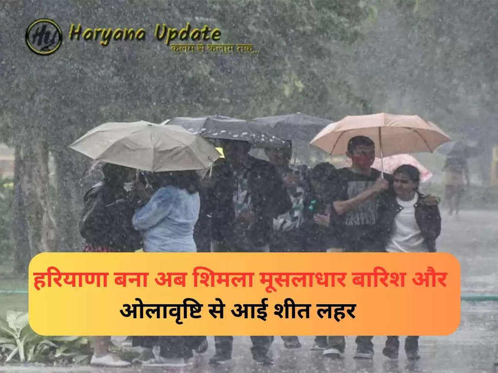 haryana Wether