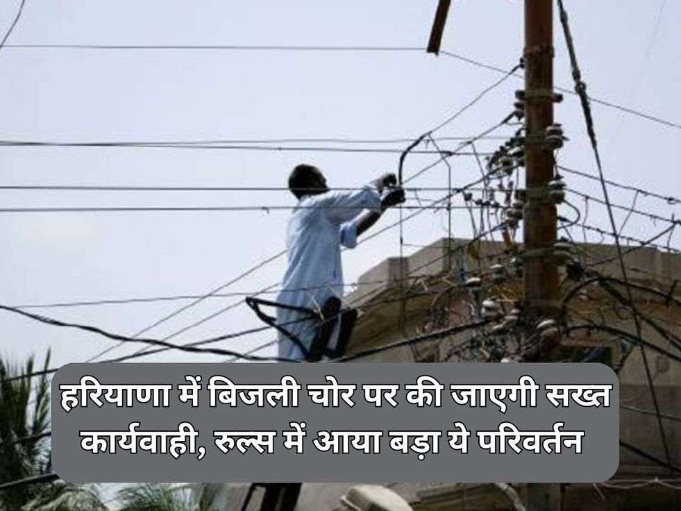 Haryana Electricity Rules