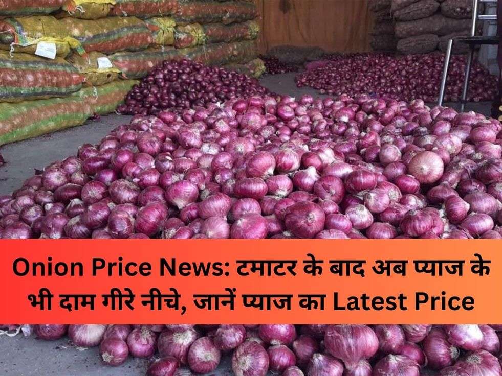 Onion Price News: टमाटर के बाद अब प्याज के भी दाम गीरे नीचे, जानें प्याज का Latest Price