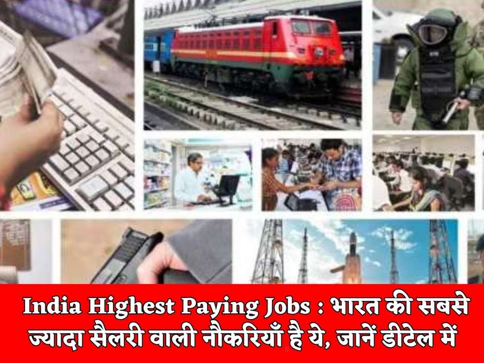 India Highest Paying Jobs : भारत की सबसे ज्यादा सैलरी वाली नौकरियाँ है ये, जानें डीटेल में 