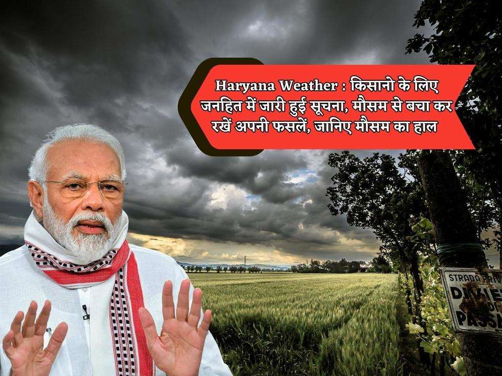 Haryana Weather : किसानो के लिए जनहित में जारी हुई सूचना, मौसम से बचा कर रखें अपनी फसलें, जानिए मौसम का हाल 