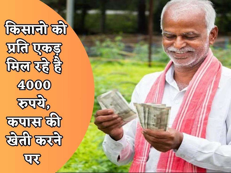 Kisan Scheme : किसानो को प्रति एकड़ मिल रहे है 4000 रुपये, कपास की खेती करने पर 