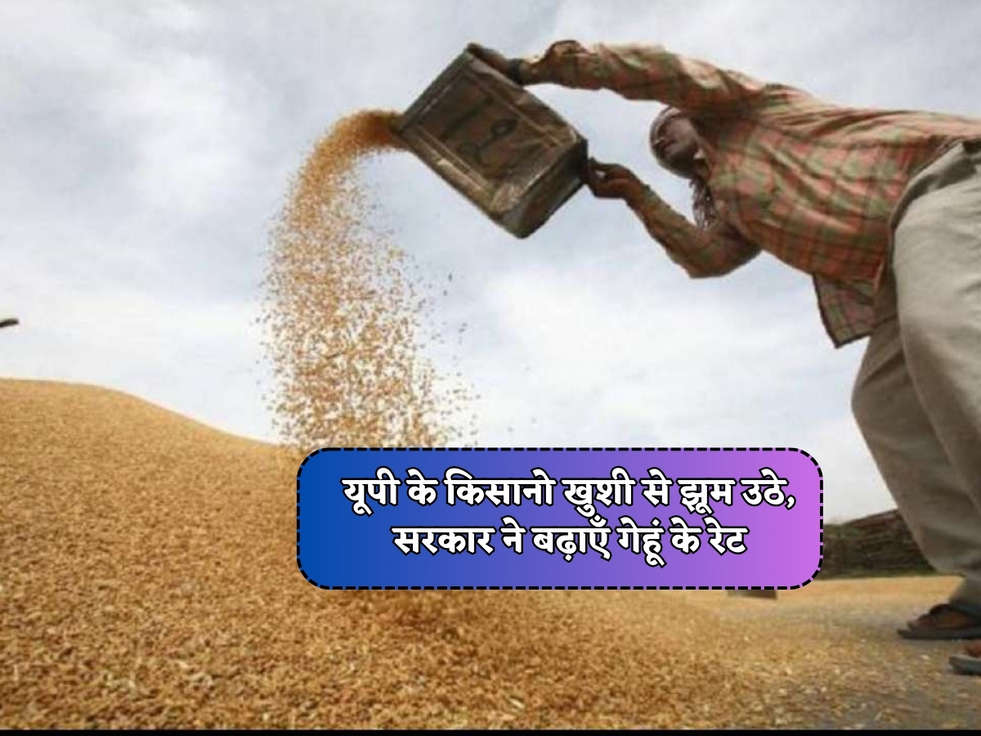 UP Kisan Scheme : यूपी के किसानो खुशी से झूम उठे, सरकार ने बढ़ाएँ गेहूं के रेट 