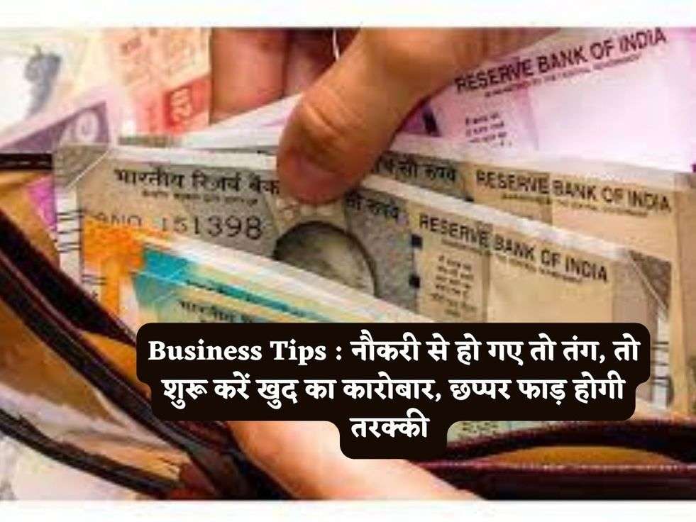 Business Tips : नौकरी से हो गए तो तंग, तो शुरू करें खुद का कारोबार, छप्पर फाड़ होगी तरक्की 