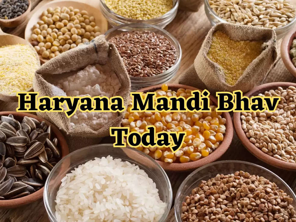 Haryana Mandi Bhav Today: हरियाणा का आज का मंडी भाव, जानिए आज का ताजा भाव 