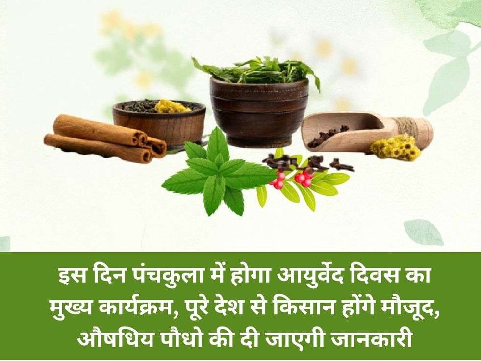 Ayurveda Day