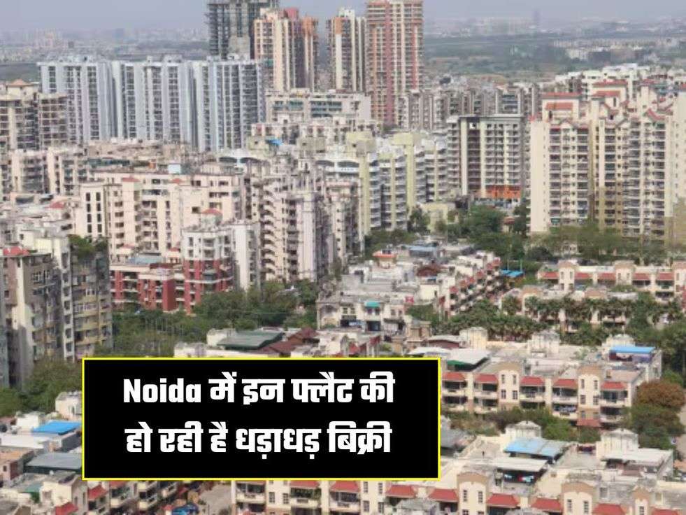 Noida में इन फ्लैट की हो रही है धड़ाधड़ बिक्री
