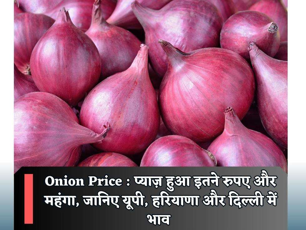 Onion Price : प्याज़ हुआ इतने रुपए और महंगा, जानिए यूपी, हरियाणा और दिल्ली में भाव 