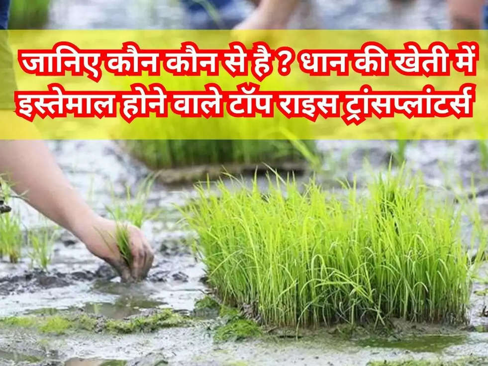 Mahindra Rice Transplanters: जानिए कौन कौन से है ? धान की खेती में इस्तेमाल होने वाले टॉप राइस ट्रांसप्लांटर्स