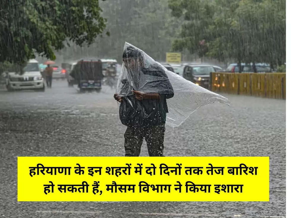 हरियाणा के इन शहरों में दो दिनों तक तेज बारिश हो सकती हैं, मौसम विभाग ने किया इशारा