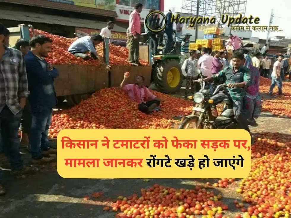 Nashik Tomato Farmers