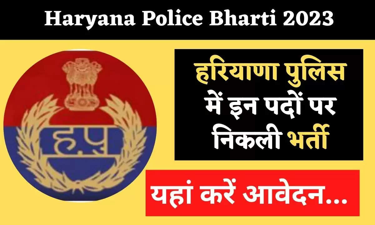 Haryana Police Raid Against Poisonous Illegal Liquor 10 Year Old Pending  Cases Will be Opened | शहर News, Times Now Navbharat