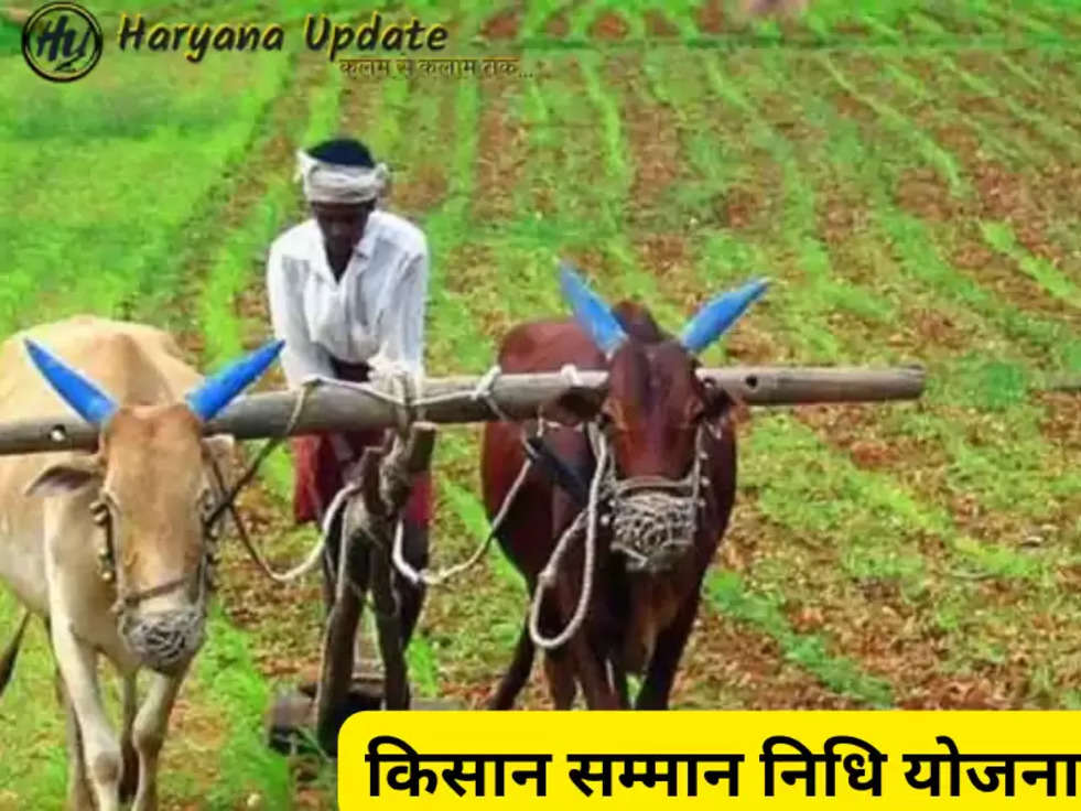  PM Kisan Yojana, PM Kisan eKYC, PM Kisan Yojana Next Installment, pm kisan samman nidhi, pm kisan new registration, pm kisan ekyc, how to do pm kisan ekyc, how to check installment of pm kisan yojana, 14th installment of pm kisan date, Pradhan Mantri Kisan Samman Nidhi Yojana, PM Kisan Nidhi, Kisan Nidhi 14th installment, PM Kisan, PM Kisan Yojana, PM Kisan Samman Nidhi Yojana, Hindi News, news in hindi, latest news in hindi, news hindi, hindi newspaper, latest hindi news, Hindi samachar, पीएम किसान योजना, पीएम किसान योजना की 14वीं किस्त, प्रधानमंत्री किसान सम्मान निधि, केंद्र सरकार, पीएम किसान केवाईसी प्रोसेस, पीएम किसान ईकेवाईसी कैसे करें, प्रधानमंत्री किसान सम्मान निधि योजना, and पीएम किसान निधि 