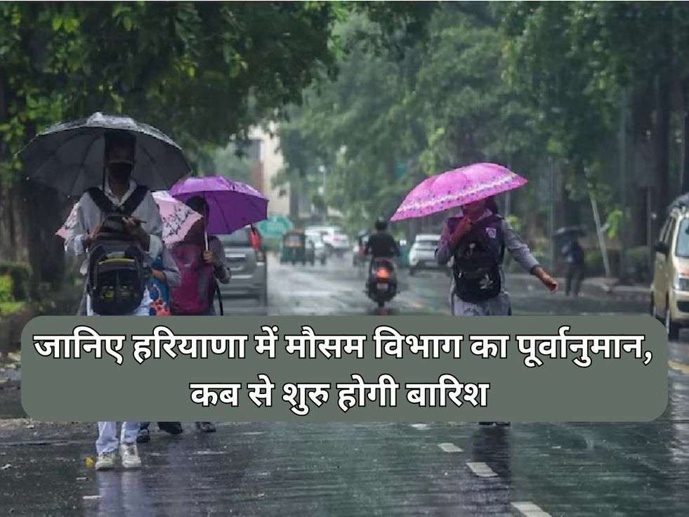 Haryana Weather Update