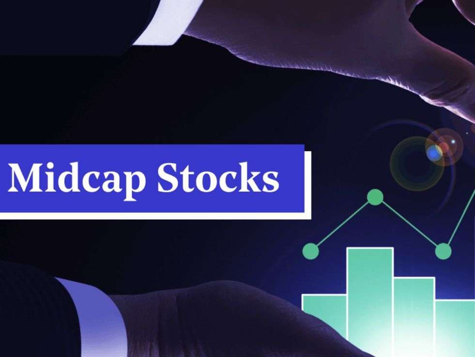 midcap share