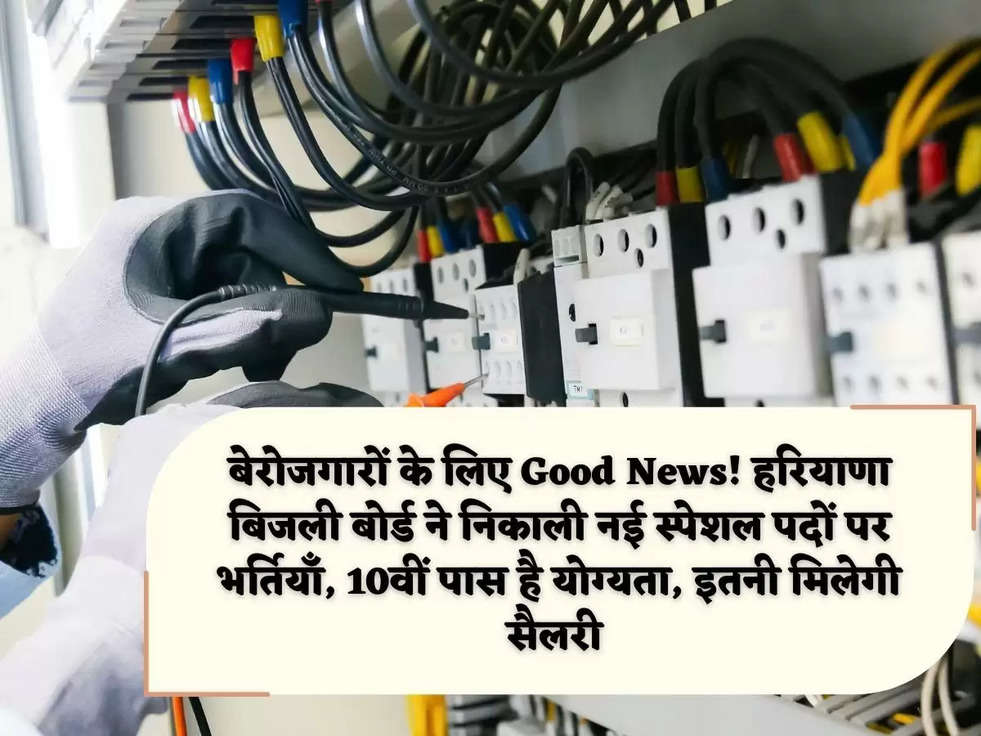 बेरोजगारों के लिए Good News! हरियाणा बिजली बोर्ड ने निकाली नई स्पेशल पदों पर भर्तियाँ, 10वीं पास है योग्यता, इतनी मिलेगी सैलरी 