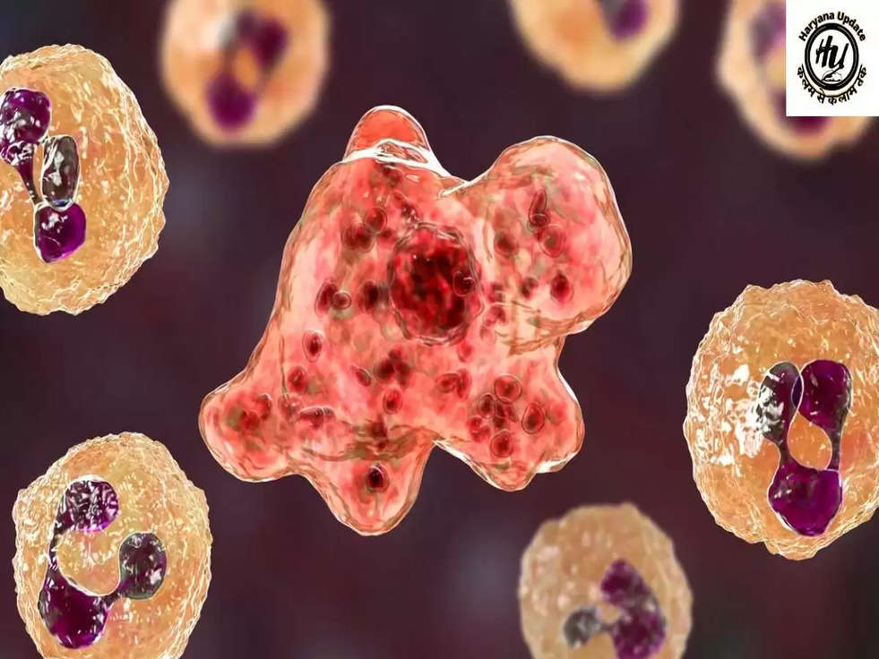 Brain Eating Amoeba: ऐसा जिवाणु जो चट कर गया एक व्यक्ति का दिमाग -Health Alert 