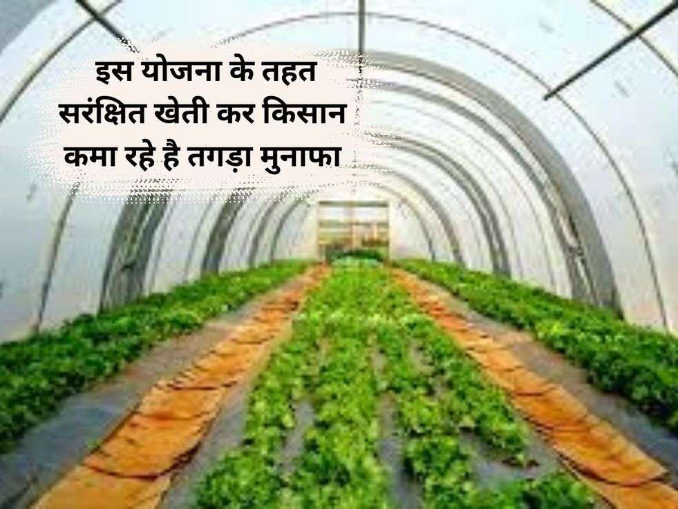 National Agriculture Development