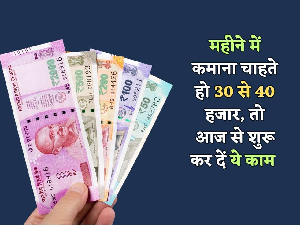 Earn Money Tips : महीने में कमाना चाहते हो 30 से 40 हजार, तो आज से शुरू कर दें ये काम 