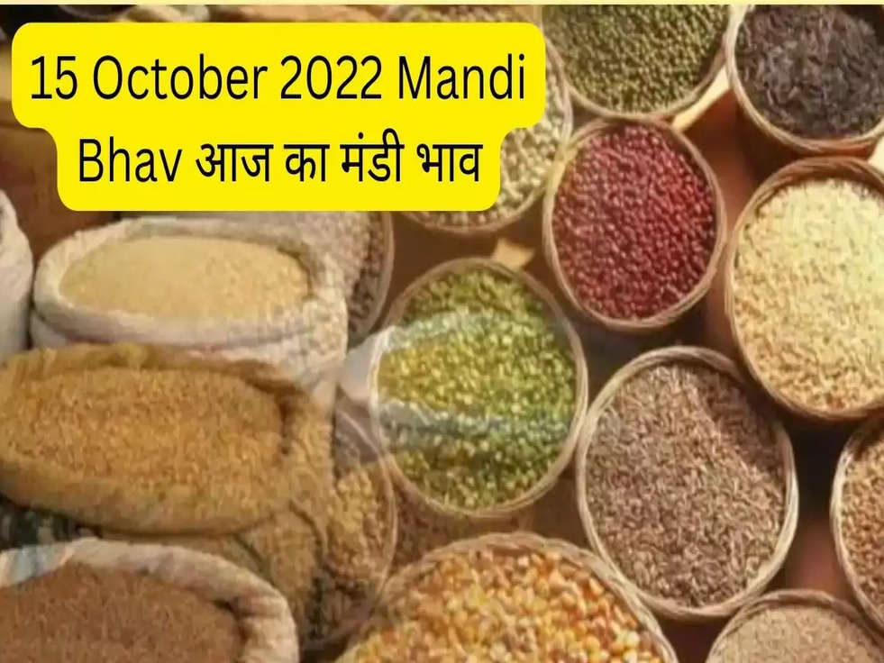 15 October 2022 Mandi Bhav- आज का मंडी भाव