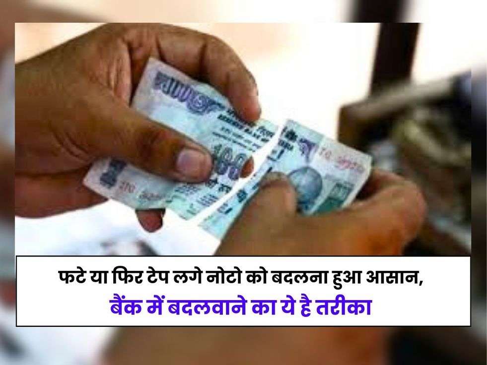 how to exchange torned notes,damaged notes,exchange bad cash,soiled notes,rbi,south indian bank,Mutilated Notes Exchange, Soiled Note Exchange, How To Exchange Old Mutilated Soiled Cut Bank Notes, RBI Rules For Bank Notes,पुराने कटे-फटे नोट कैसे बदलें, 