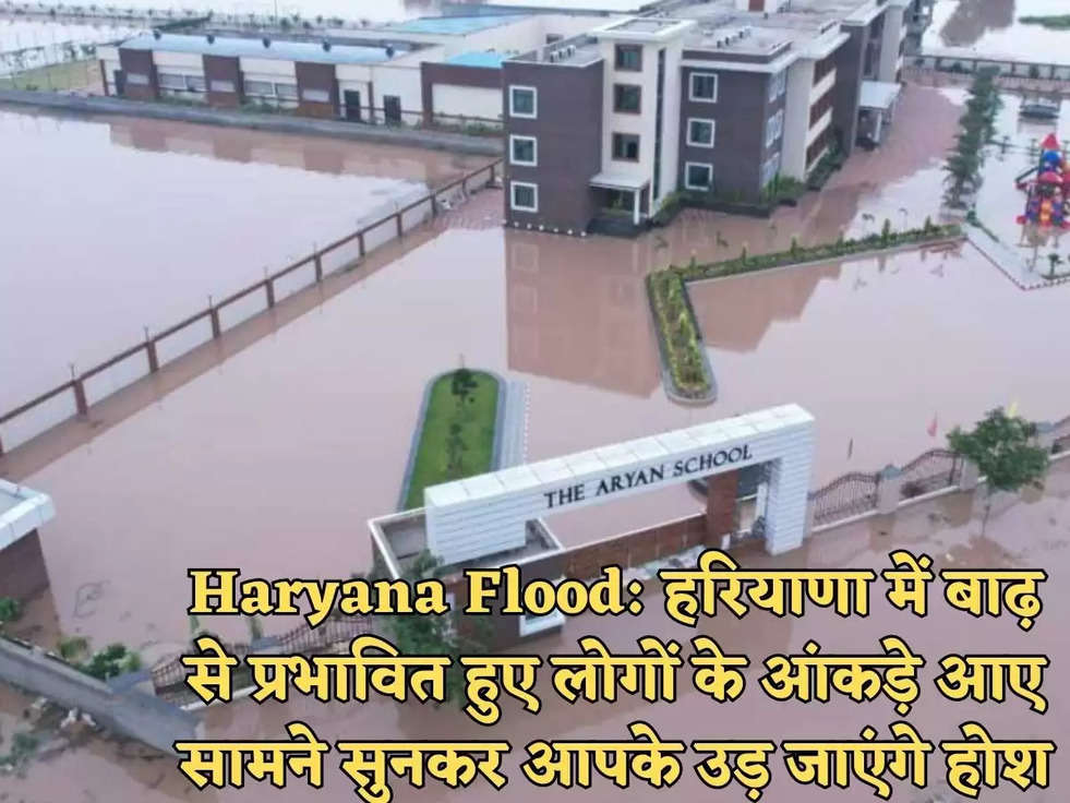 Haryana Flood: हरियाणा में बाढ़ से प्रभावित हुए लोगों के आंकड़े आए सामने सुनकर आपके उड़ जाएंगे होश