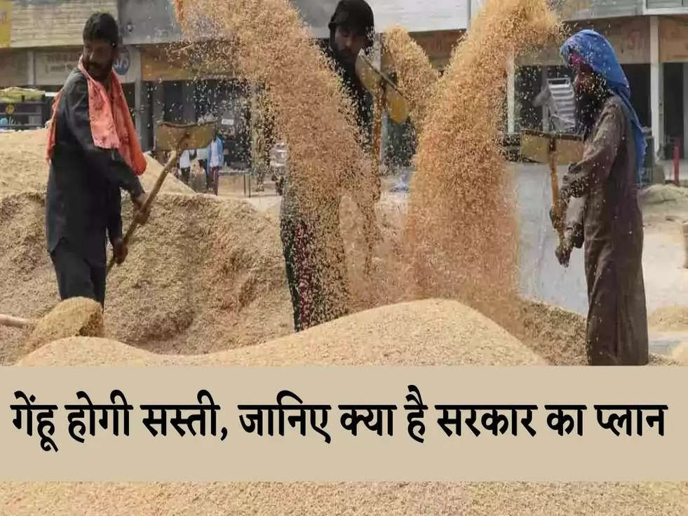 Wheat Price: गेंहू होगी सस्ती, जानिए क्या है सरकार का प्लान 