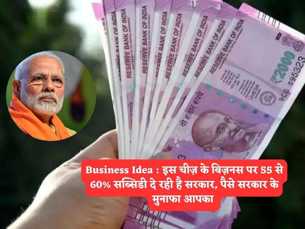 Business Idea : इस चीज़ के बिज़नस पर 55 से 60% सब्सिडी दे रही है सरकार, पैसे सरकार के मुनाफा आपका 