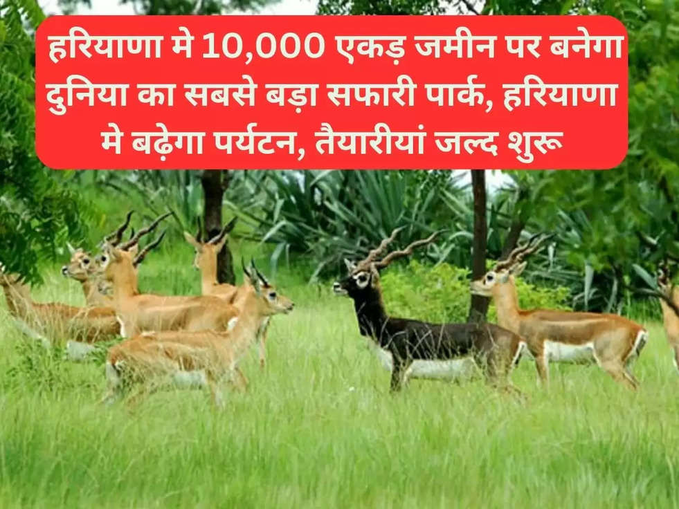 haryana safari park news