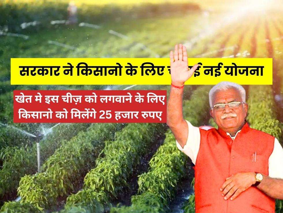 Haryana Drip Irrigation Scheme: सरकार ने किसानो के लिए चलाई नई योजना, खेत मे इस चीज़ को लगवाने के लिए किसानो को मिलेंगे 25 हजार रुपए