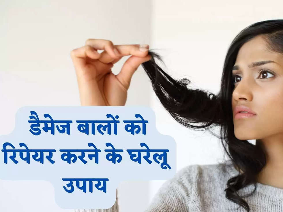 Hair Care Tips: डैमेज बालों को रिपेयर करने के घरेलू उपाय