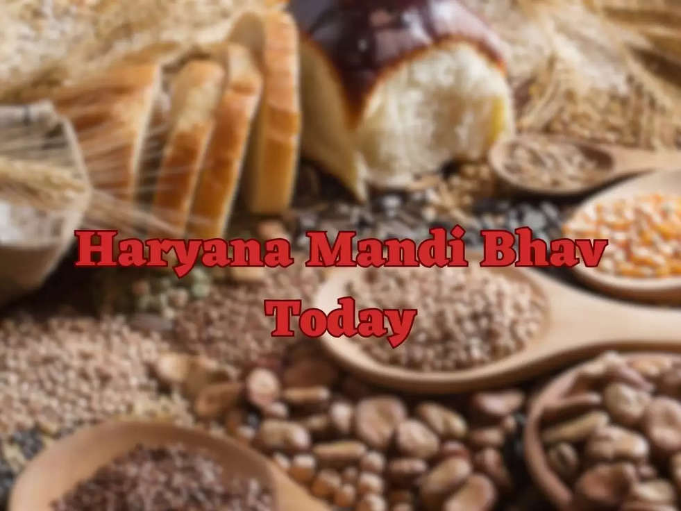 Haryana Mandi Bhav Today: हरियाणा में ये है आज का ताजा मंडी भाव, बाजरा, गेहूं, चना सबके भाव है उपलब्ध 