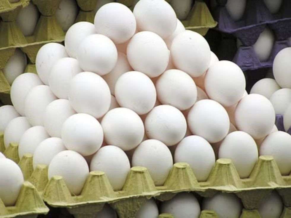 Eggs: गर्मियों में अंडा खाना चाहिए या नहीं, जानिए एक्सपर्ट की राय