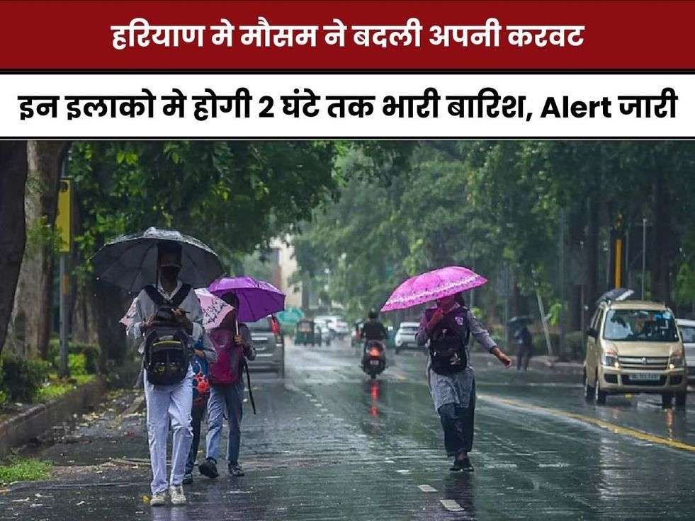 Haryana weather,IMD,Punjab Weather Today,Yellow Alert,today Haryana Weather Update,Haryana Weather Alert,Haryana Weather Report,Haryana Weather Forecast,IMD Alert,Rain, Lightning Alert,Haryana Latest News in Hindi,Trending Story,हरियाणा का मौसम, पंजाब का मौसम, हरियाणा, 