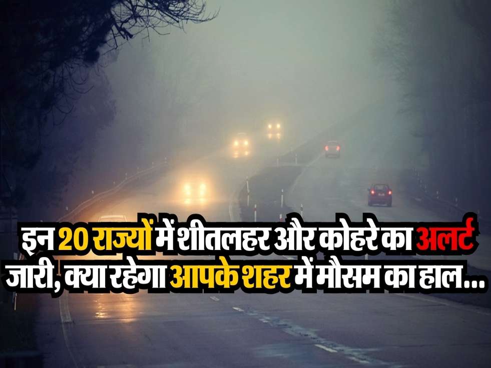 Weather Update: इन 20 राज्यों में शीतलहर और कोहरे का अलर्ट जारी, क्या रहेगा आपके शहर में मौसम का हाल...