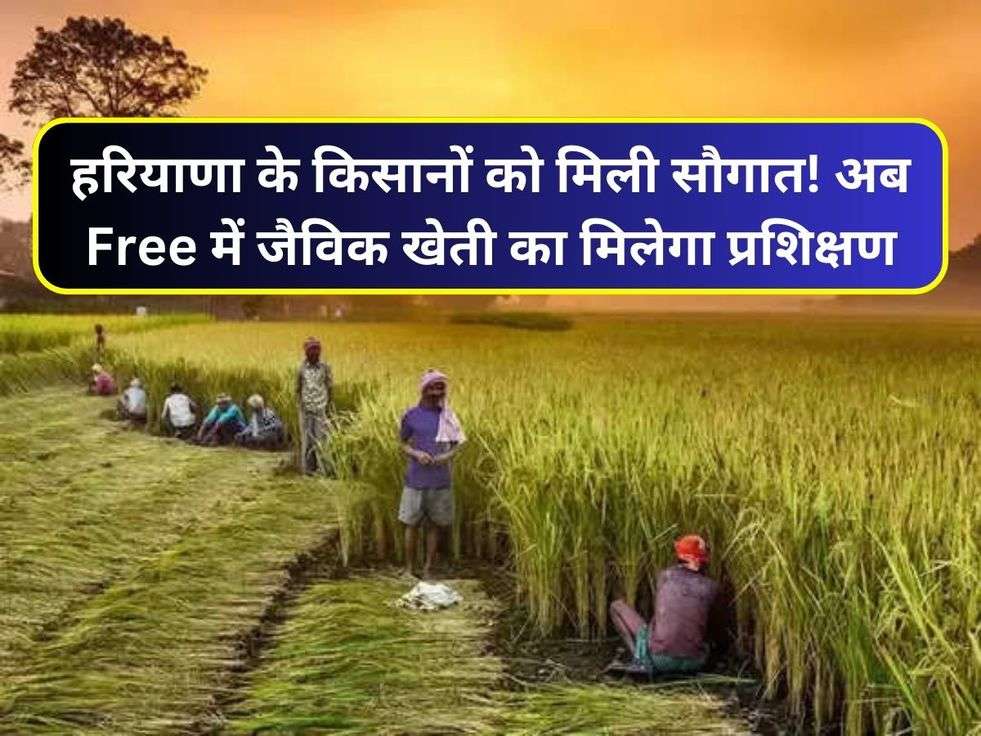 हरियाणा के किसानों को मिली सौगात! अब Free में जैविक खेती का मिलेगा प्रशिक्षण