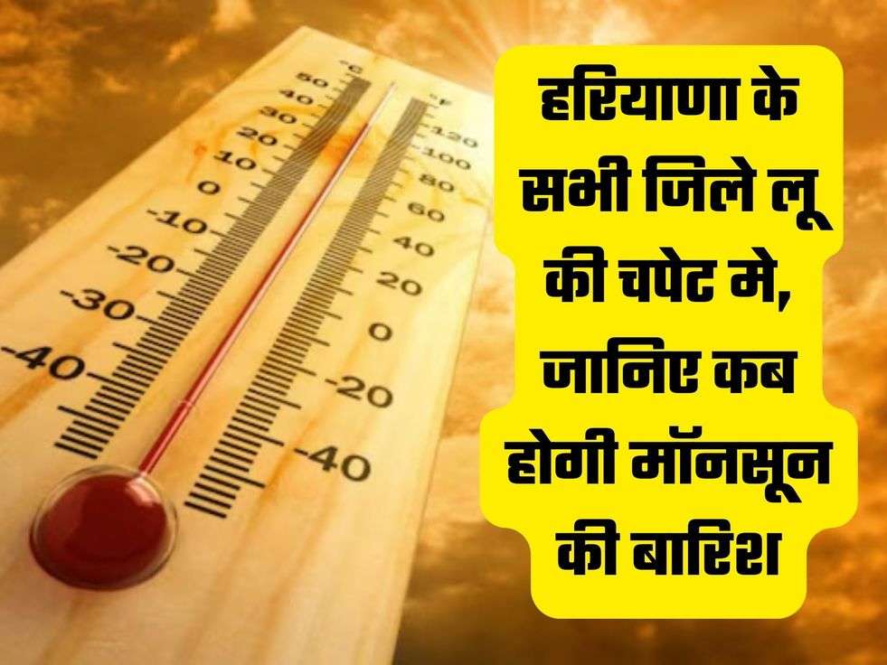 haryana news weather