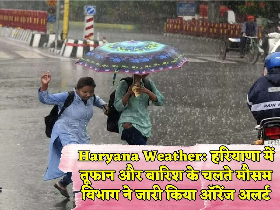 Haryana Weather: हरियाणा में तूफान और बारिश के चलते मौसम विभाग ने जारी किया ऑरेंज अलर्ट